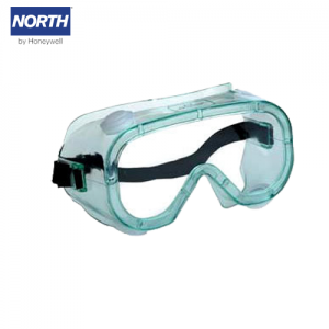 Safe Splash Goggle